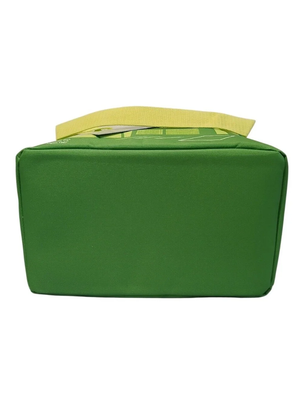 Trader Joe's Mini Insulated Bag green/blue